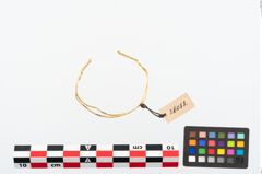 Foto von Goldspiralring (NHMW-PRAE-026088)